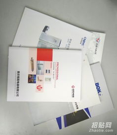 乐清样本画册设计与印刷服务 宣传册、单张、说明书与网站设计一体化解决方案