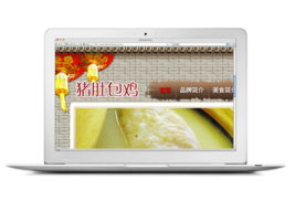 深圳网站设计公司 专业打造多元化企业品牌网络门户